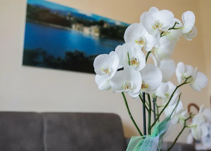 Margherita * Rapallo