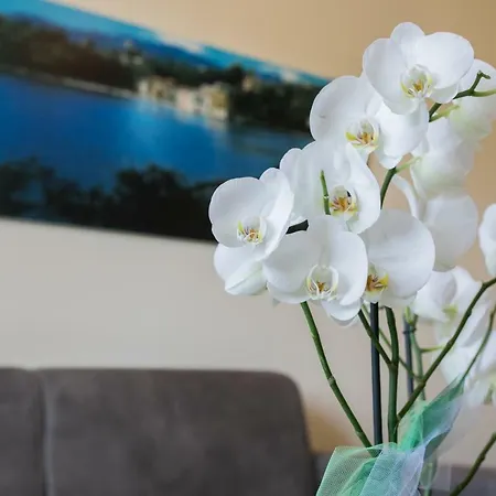 Margherita * Rapallo